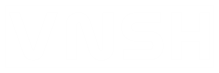 VNSH Holster